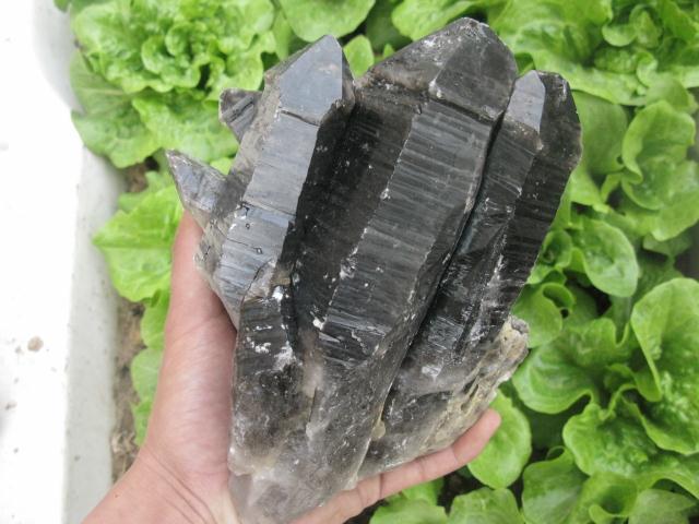 Tibetan Black Quartz Cluster  stones seem to emanate a silent 'OM' at all times 2520